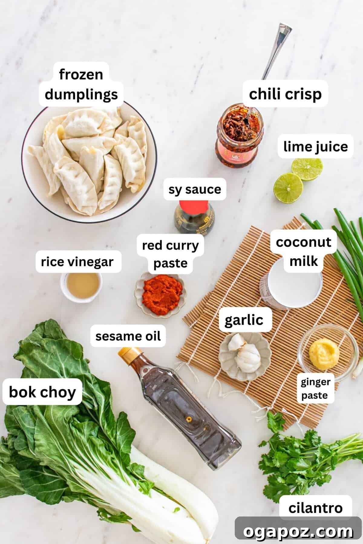 Savory One Pan Dumpling Bake 5 A flat lay image showcasing all the individual ingredients for the Viral Baked Dumplings Recipe, neatly arranged.