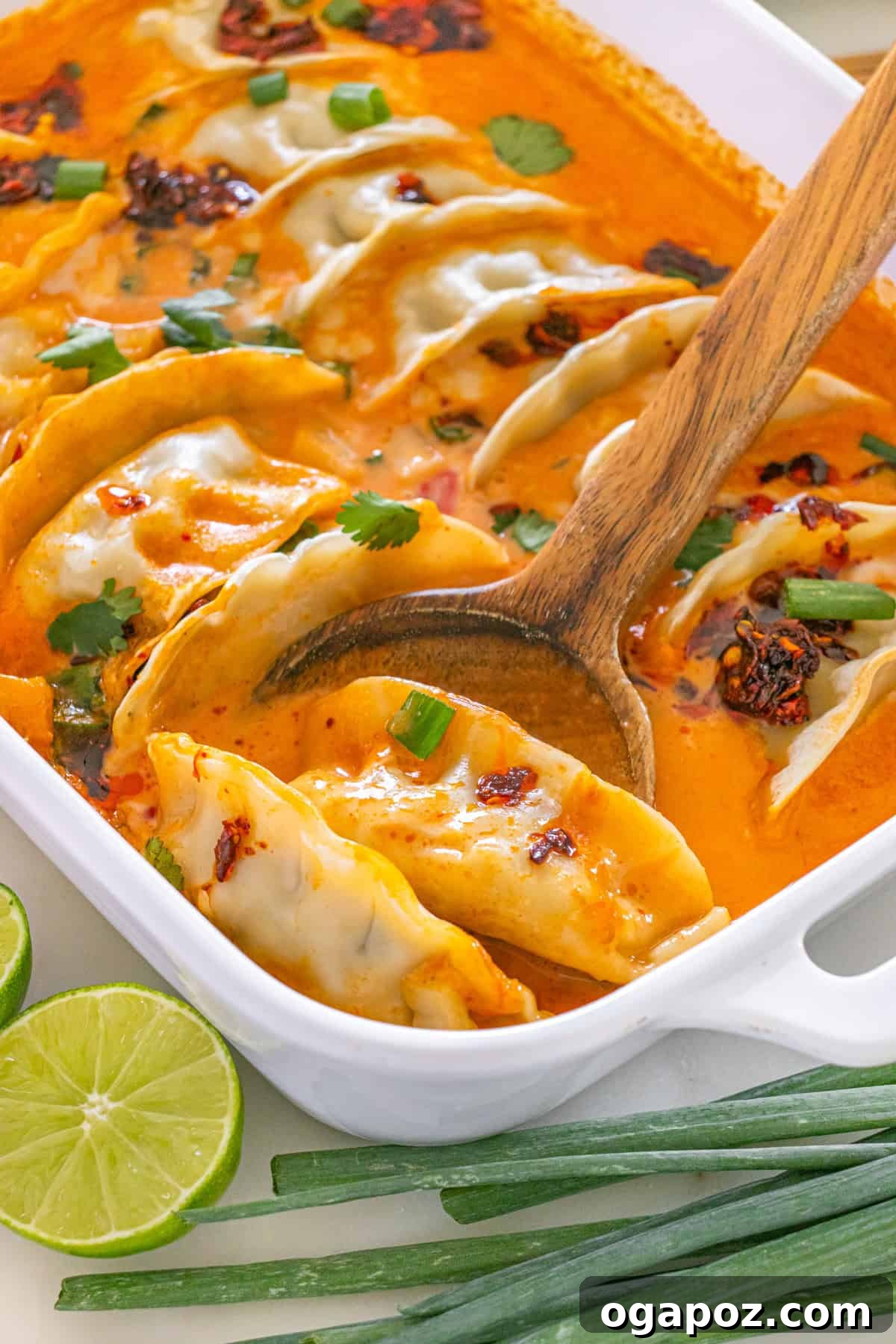 Savory One Pan Dumpling Bake 7 A serving of Quick and Easy Dumpling Bake Recipe, highlighting the vibrant colors and appealing texture.