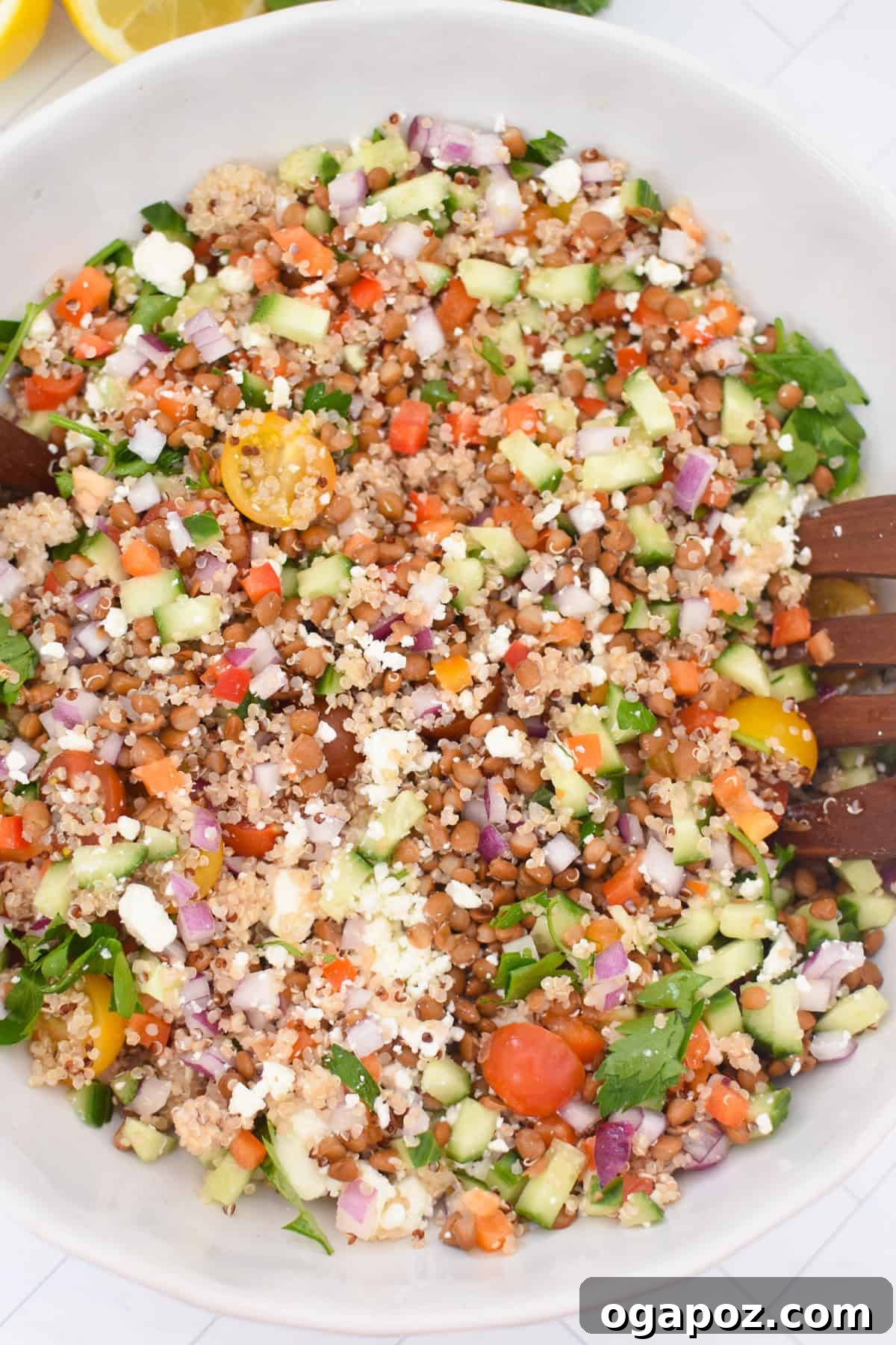 Lentil Quinoa Salad with Fresh Vegetables and Lemon Dressing 