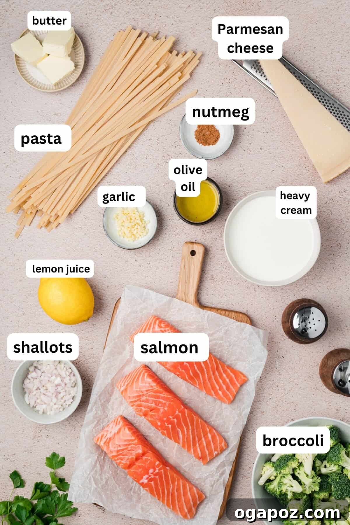 Velvety Salmon Alfredo Pasta 5 Creamy Salmon Pasta recipe ingredients