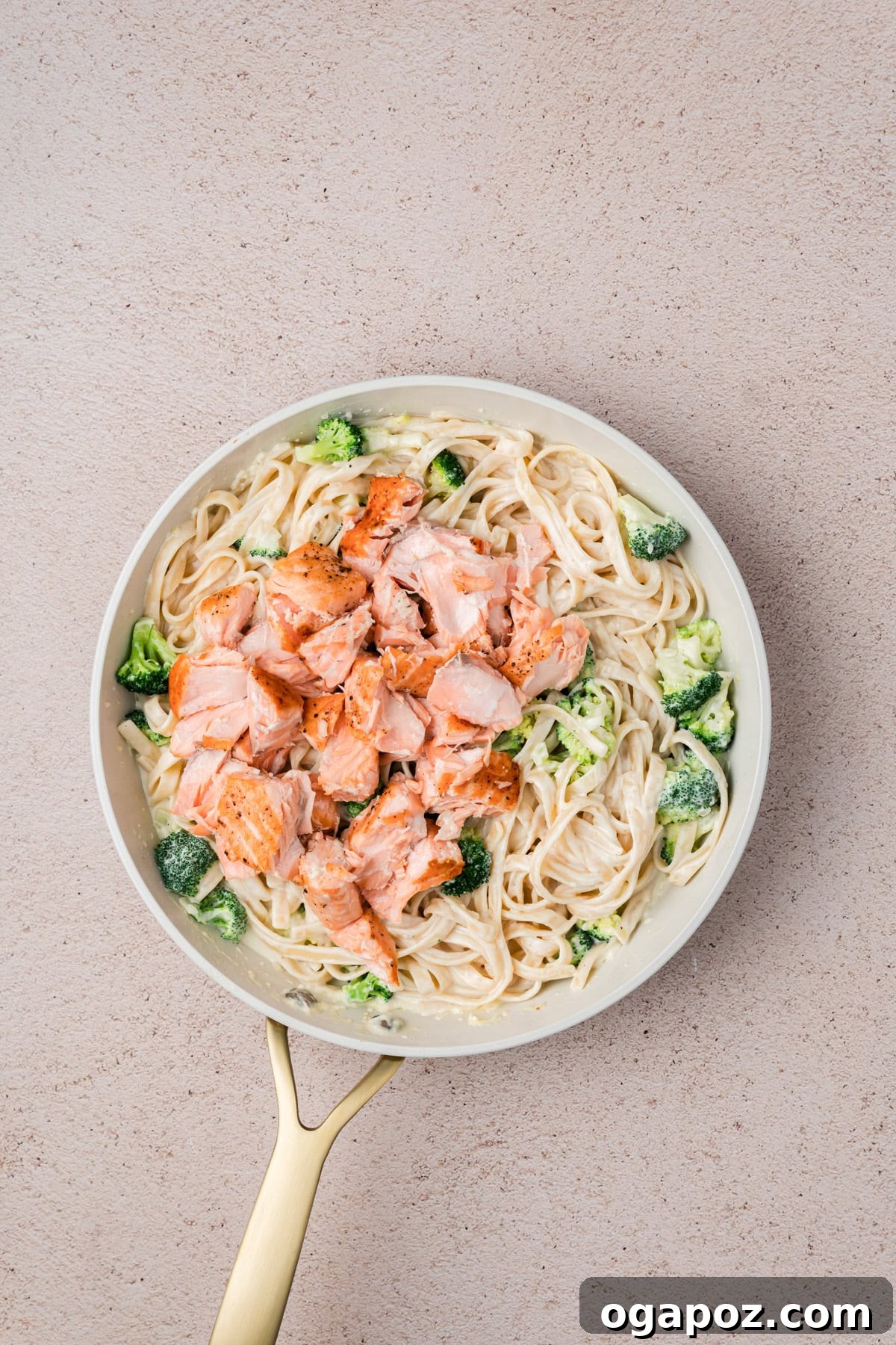 Velvety Salmon Alfredo Pasta 10 Salmon and Broccoli Pasta tossed in creamy sauce
