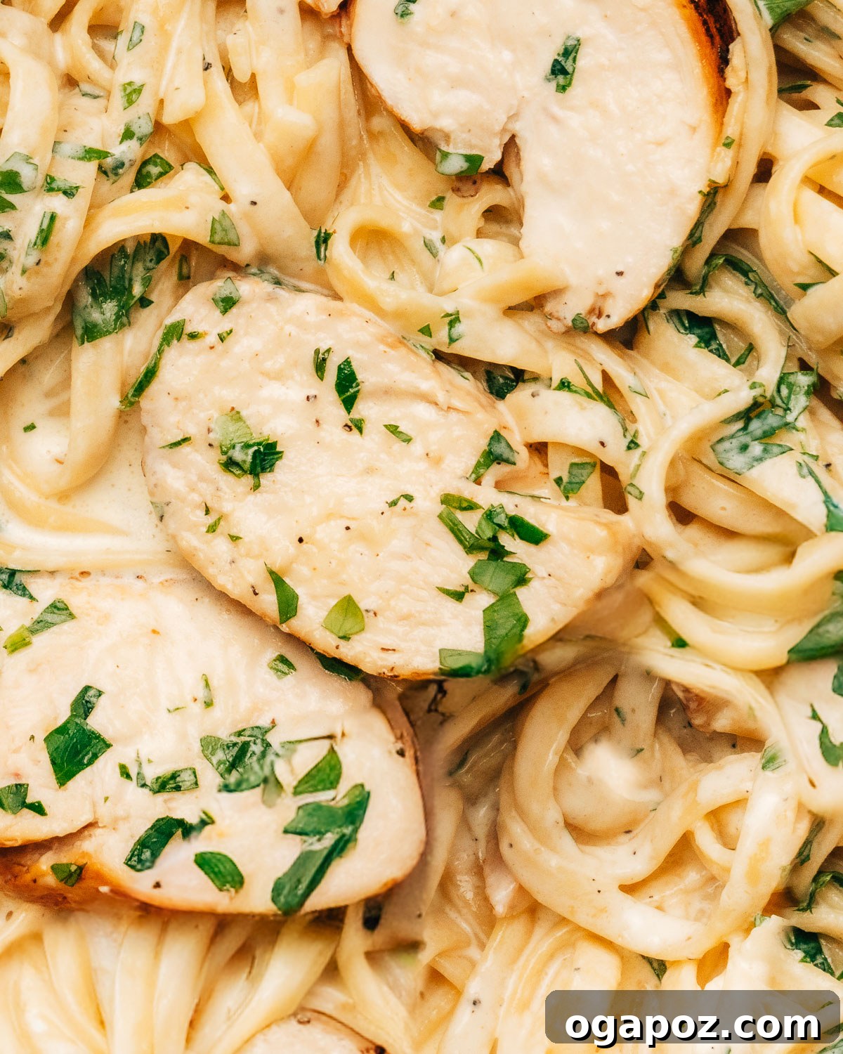 Rich and Creamy Chicken Alfredo 2 Close-up shot of creamy chicken alfredo recipe, showcasing rich sauce and tender chicken.