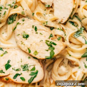 Chicken alfredo recipe close-up shot.