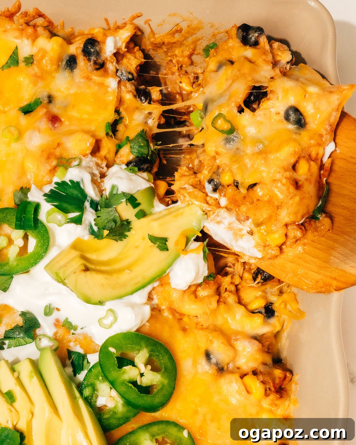 Fiesta Chicken Bake 2 A golden-brown Mexican chicken casserole, fresh out of the oven, topped with melted cheese.
