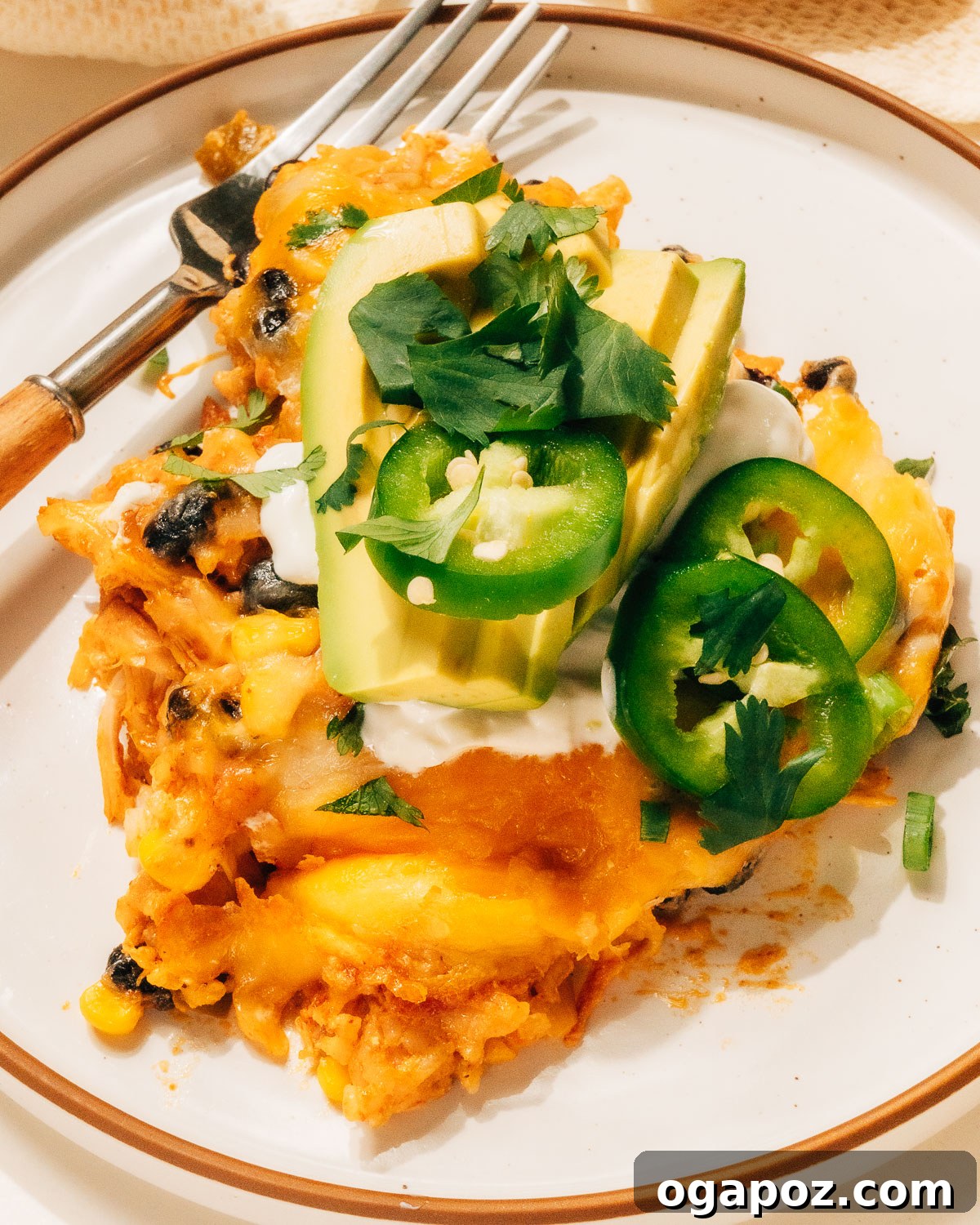 Fiesta Chicken Bake 10 A plate of Mexican Chicken Casserole topped with fresh cilantro, avocado, and sour cream, ready to be enjoyed.