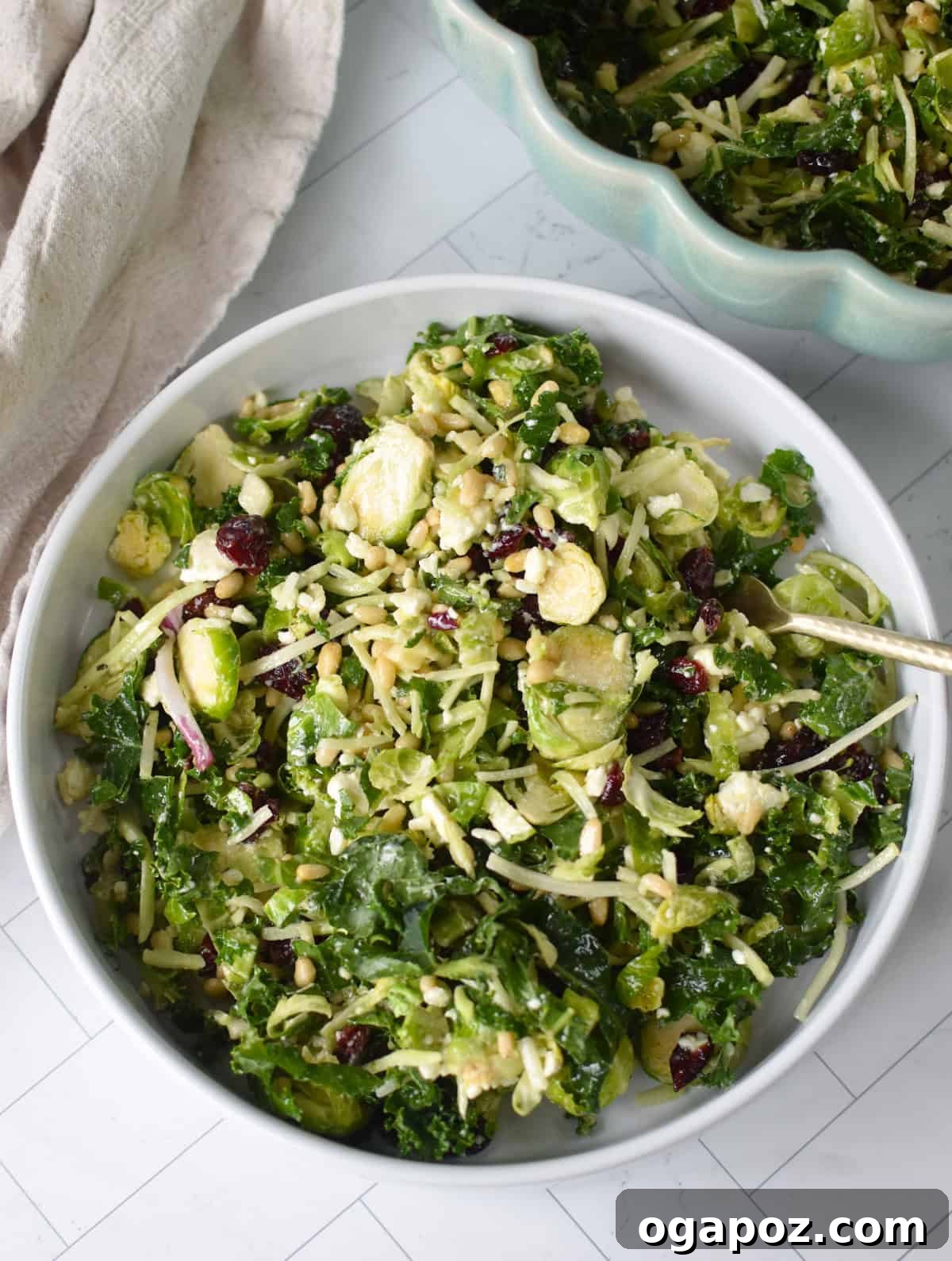 Shaved Brussels and Kale Salad 6 A vibrant green leafy salad, showcasing shredded kale, shaved Brussels sprouts, and dried cranberries, artfully arranged.