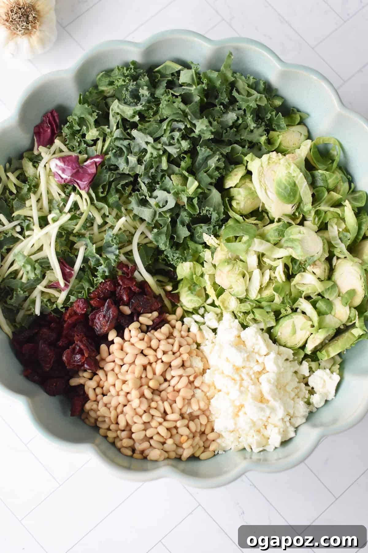 Shaved Brussels and Kale Salad 7 A large bowl filled with kale, shaved Brussels sprouts, cabbage, and radicchio, ready for the next ingredients.