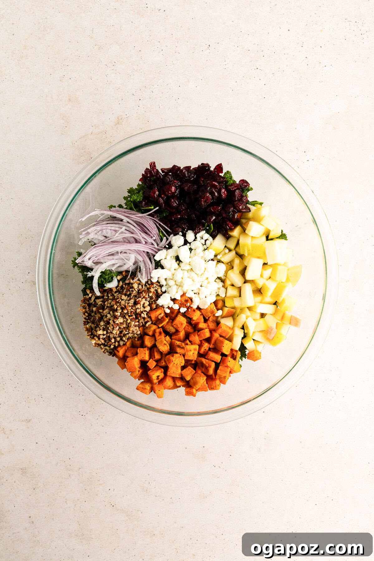 All salad ingredients, including roasted sweet potatoes, apple, pecans, and cranberries, added to the massaged kale.