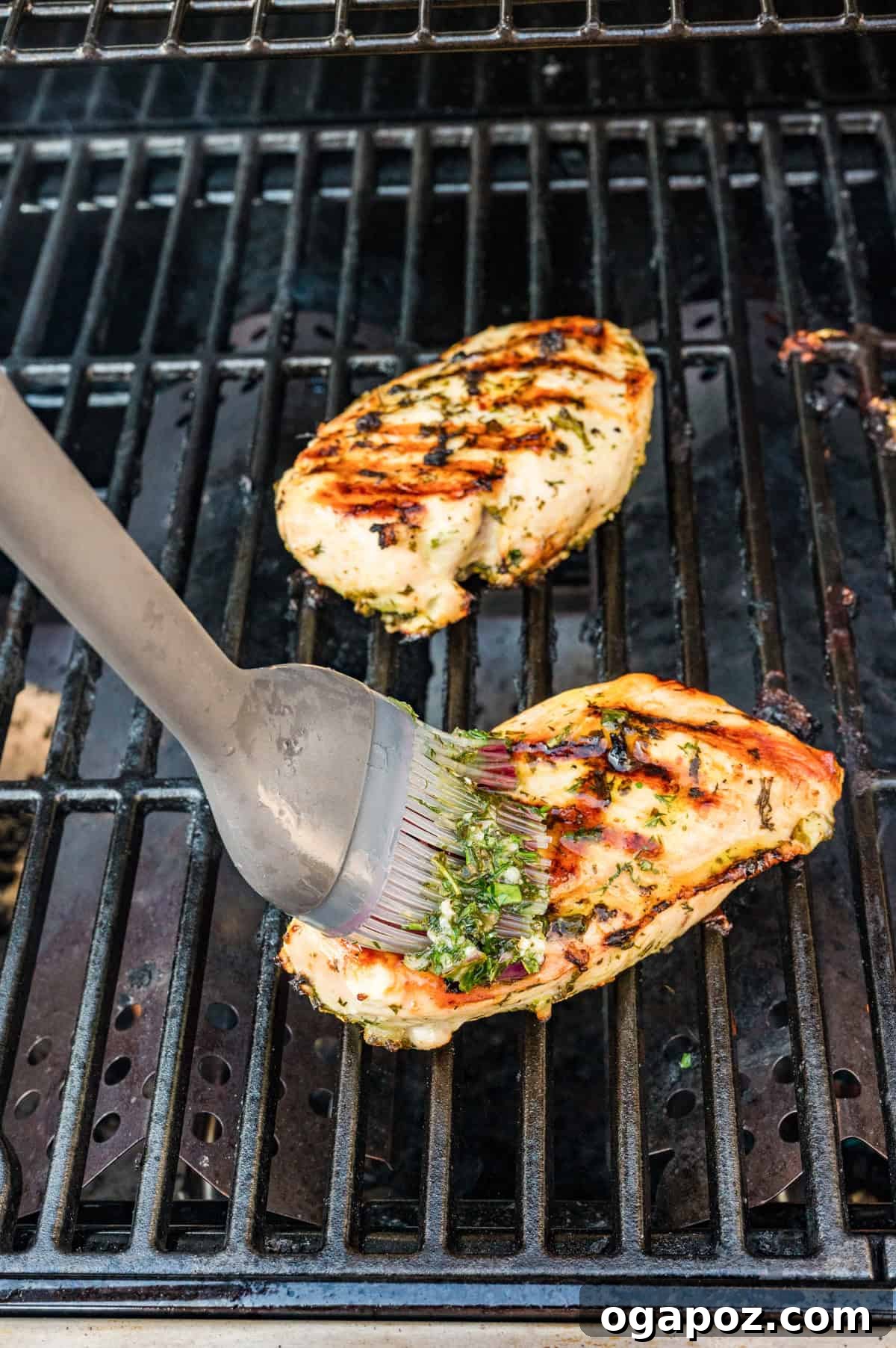 Marinated Mediterranean chicken breasts grilling on outdoor grill grates, showing golden char marks and sizzling gently.