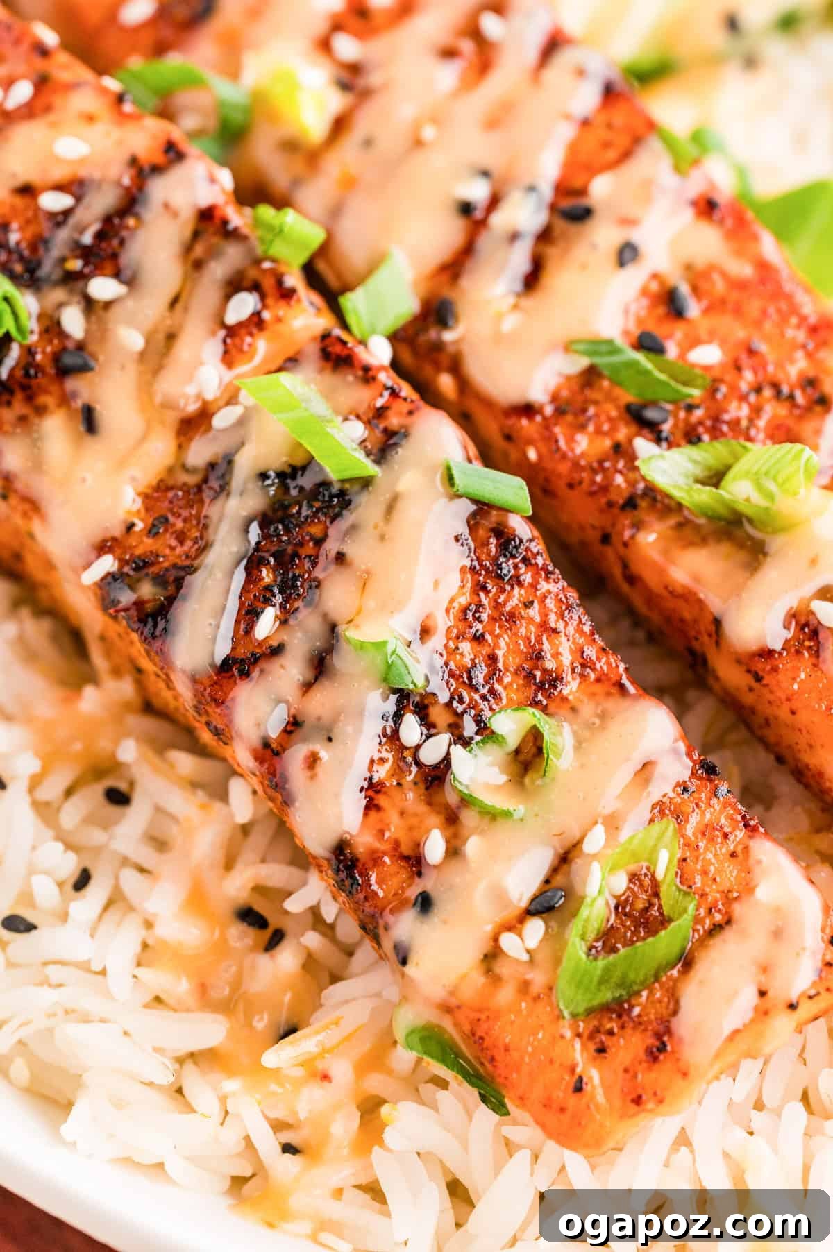 Dynamite Salmon 10 Up Close Bang Bang Salmon with Sauce and Green Onions