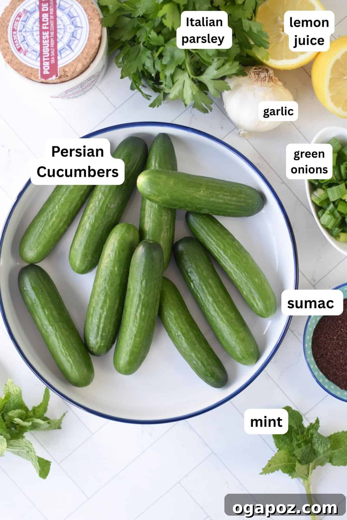 A selection of fresh ingredients including Persian cucumbers, sumac, fresh mint, lemon, and olive oil, laid out for the Smashed Cucumber Salad recipe.