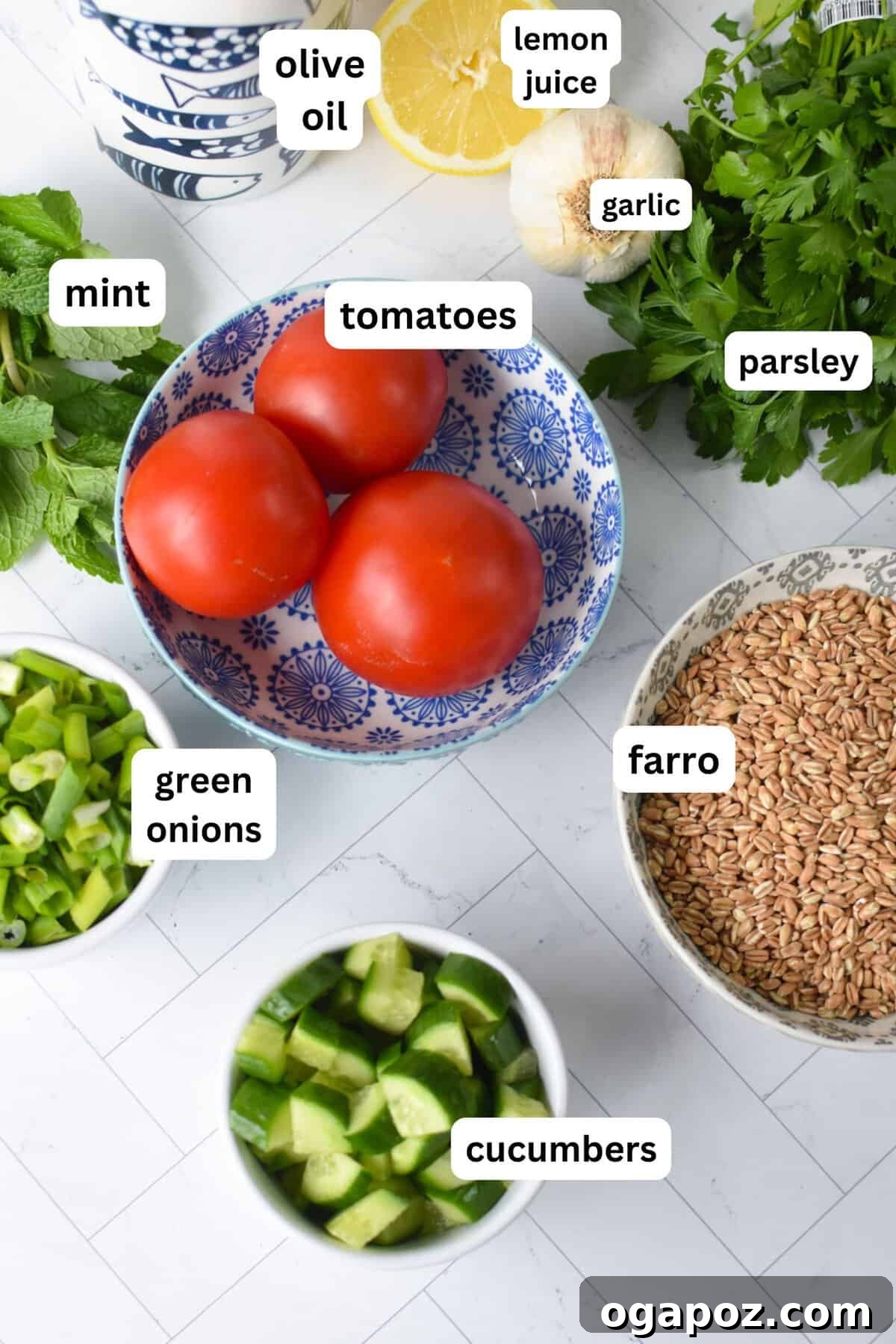 Vibrant Farro Tabbouleh 5 Fresh ingredients laid out for Farro Tabbouleh Salad, including parsley, mint, tomatoes, cucumbers, green onions, farro, lemons, and olive oil.