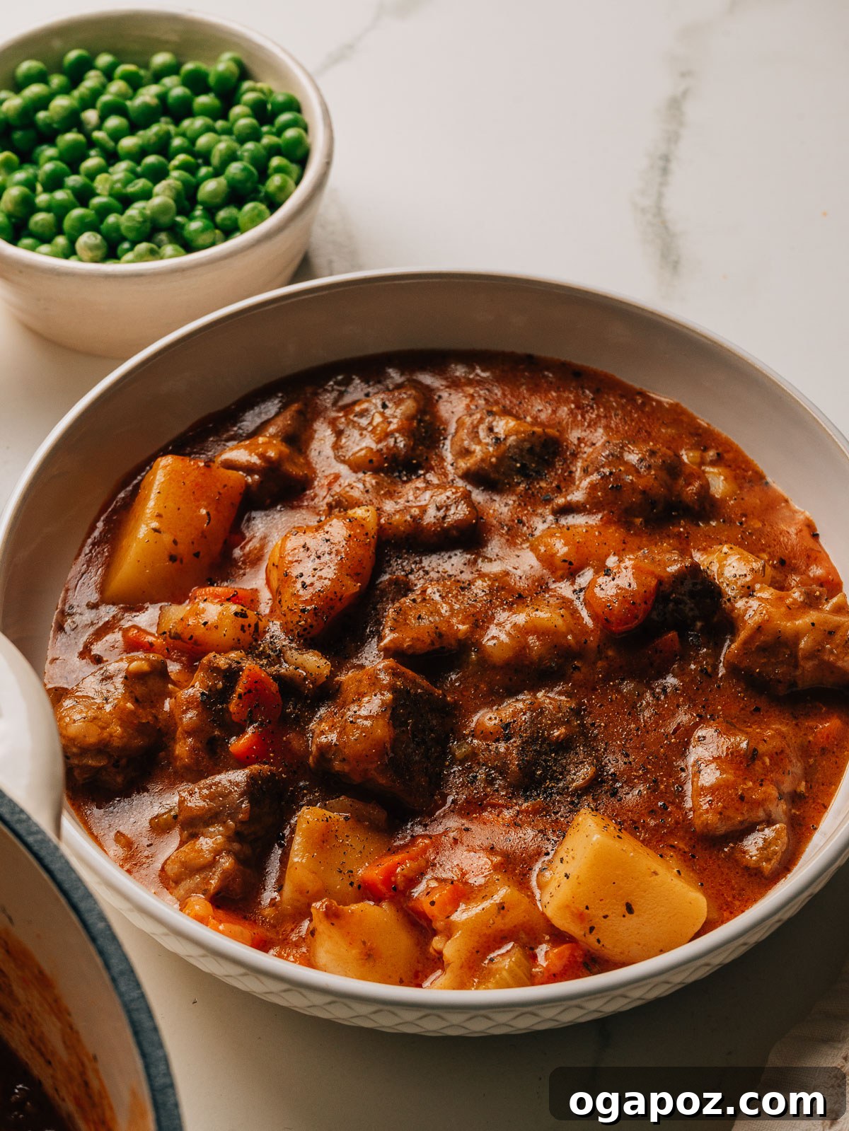 Melt-in-Your-Mouth Pork Stew Recipe for Cozy Dinners 2 Pork stew with tender pork shoulder, potatoes, and carrots in rich gravy in a bowl.