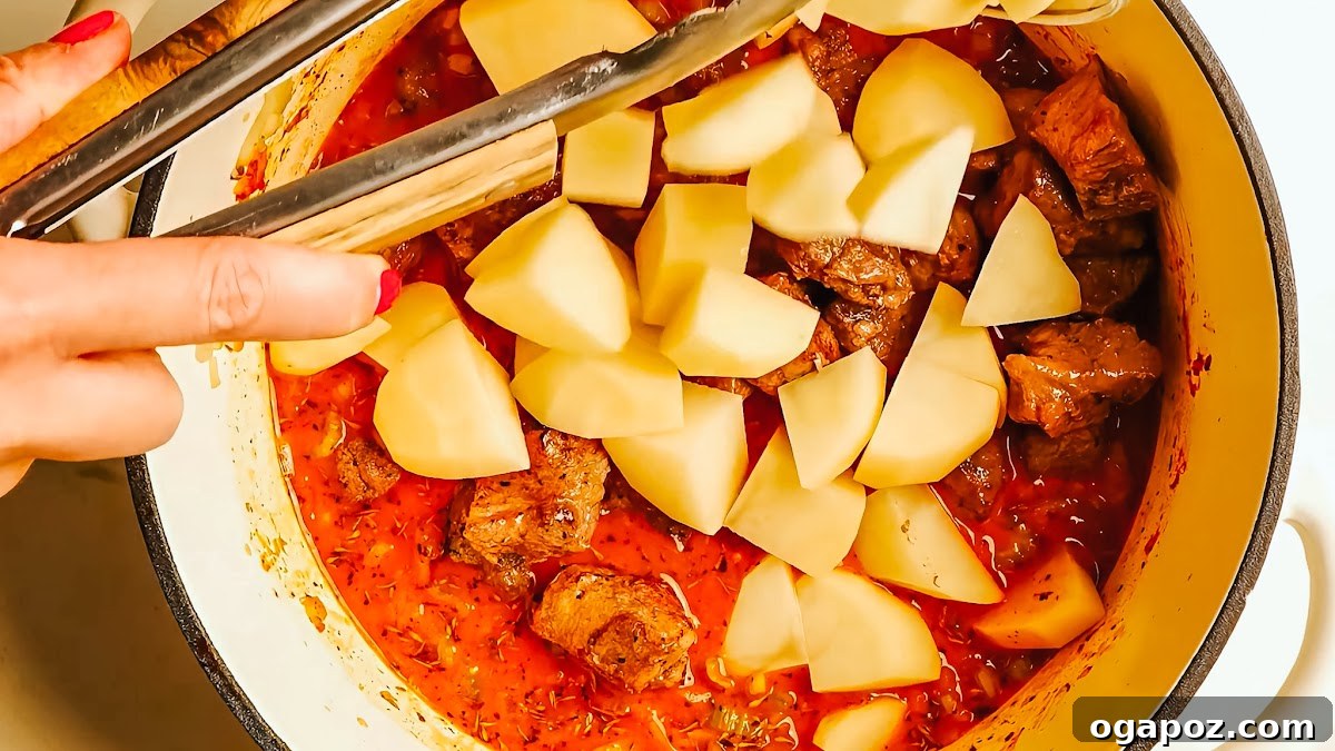 Melt-in-Your-Mouth Pork Stew Recipe for Cozy Dinners 7 Pork stew recipe steps.