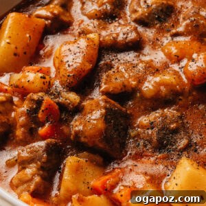 Melt-in-Your-Mouth Pork Stew Recipe for Cozy Dinners 9 A bowl of pork stew.