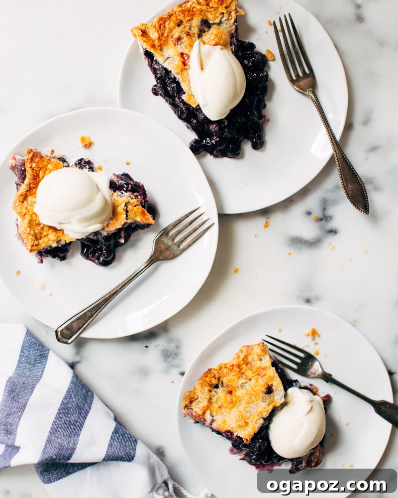 26 Memorable Memorial Day Cookout Recipes: Burgers, Ribs, Salads & Desserts 28 Blueberry Pie
