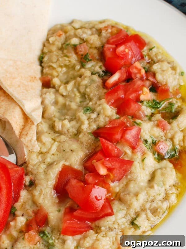 Creamy Roasted Red Pepper and Feta Dip Recipe 13 img 93941 12