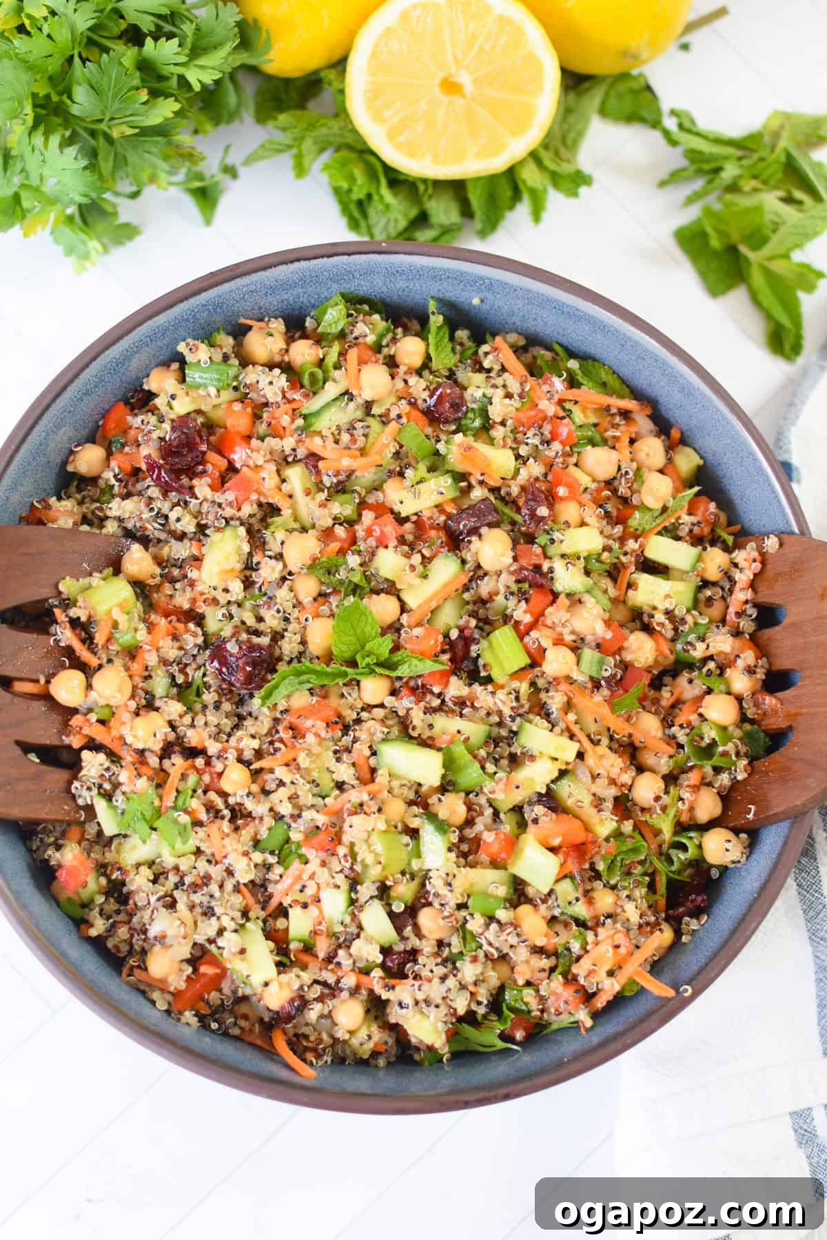 Moroccan Chickpea Salad with Tangy Lemon & Toasted Cumin 2 Easy Moroccan Chickpea Salad in blue bowl
