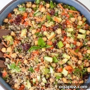 Moroccan Chickpea Salad with Tangy Lemon & Toasted Cumin 10 Moroccan Chickpea Quinoa Salad