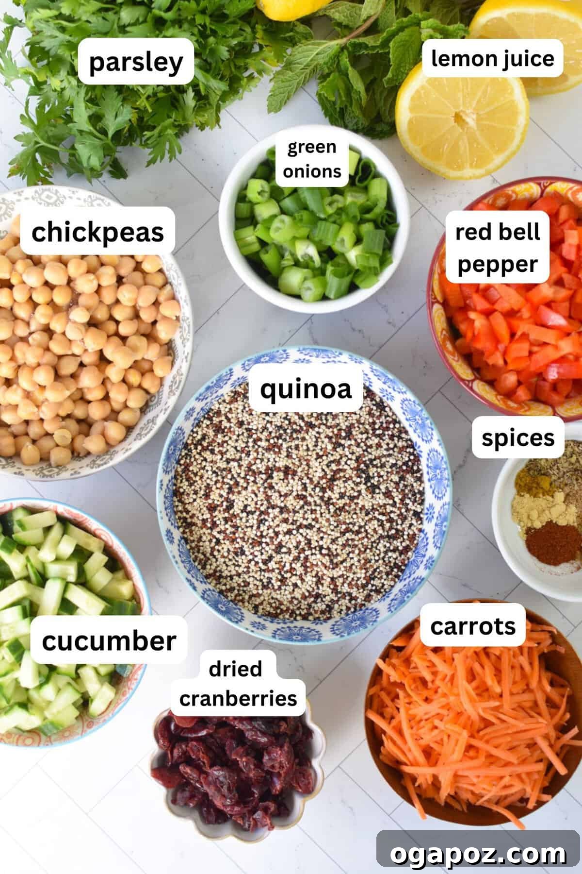Moroccan Chickpea Salad with Tangy Lemon & Toasted Cumin 5 Moroccan Chickpea Salad recipe ingredients