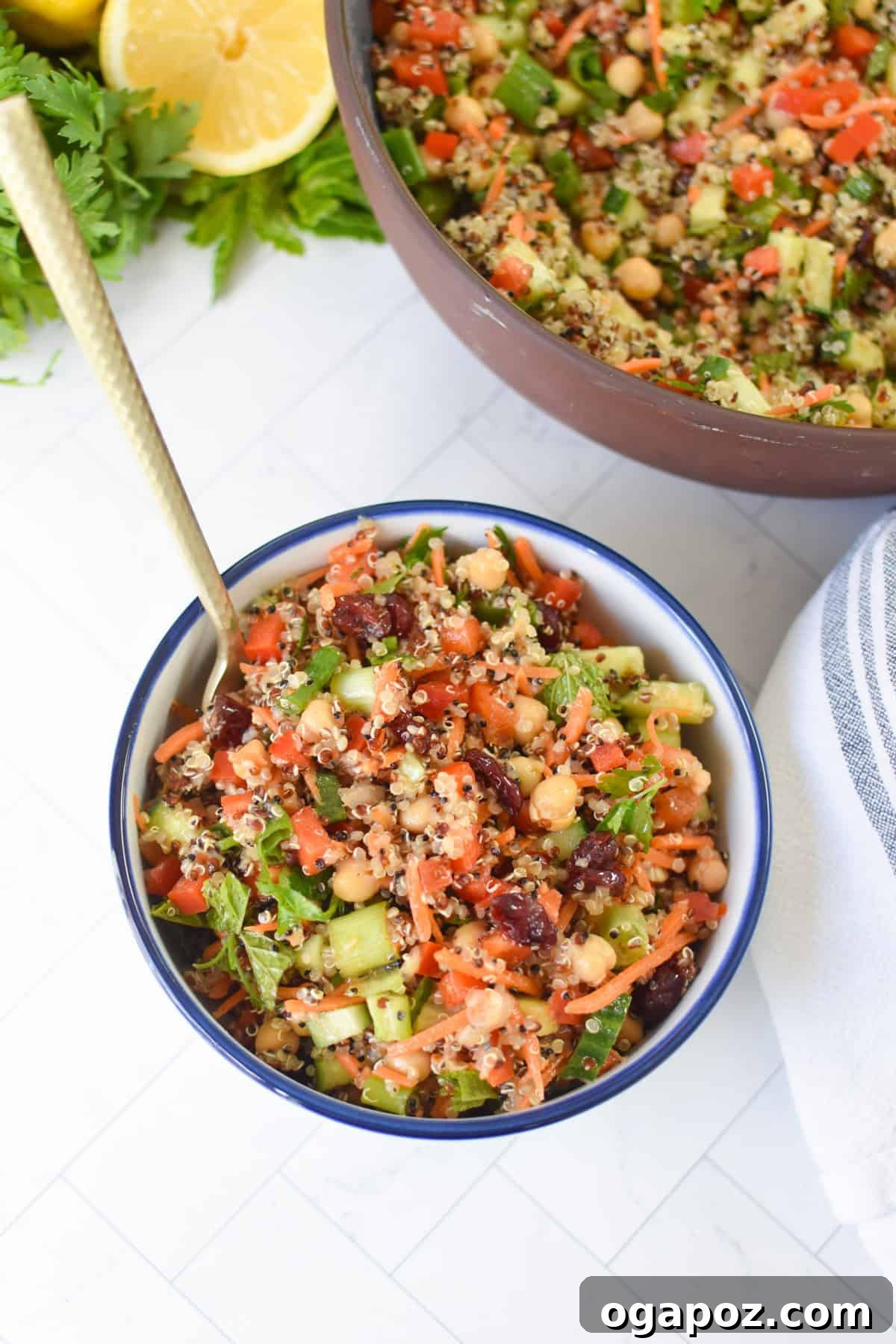 Moroccan Chickpea Salad with Tangy Lemon & Toasted Cumin 6 Easy Moroccan Quinoa Chickpea Saald in a small bowl