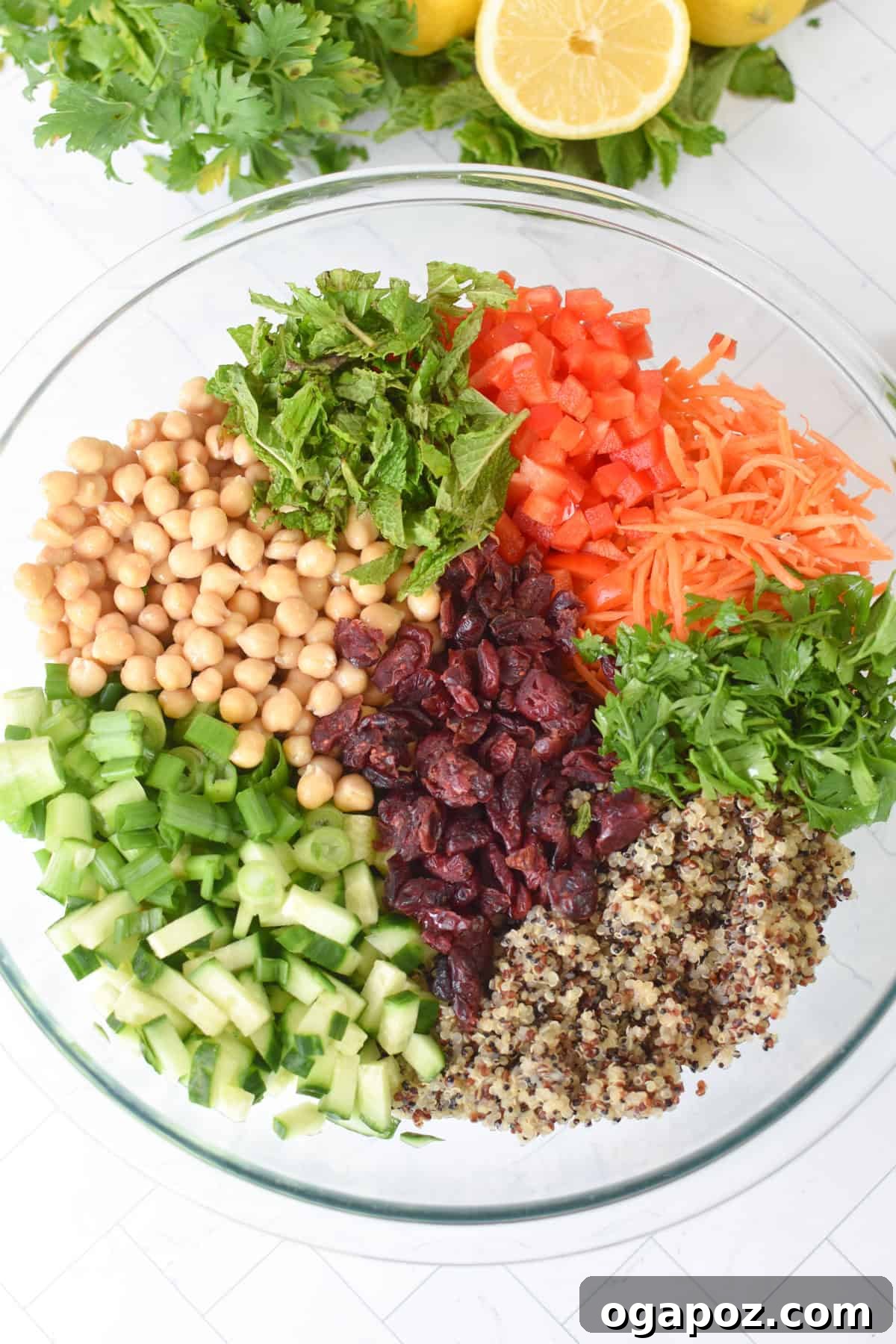 Moroccan Chickpea Salad with Tangy Lemon & Toasted Cumin 8 Quick Moroccan Chickpea Quinoa Salad