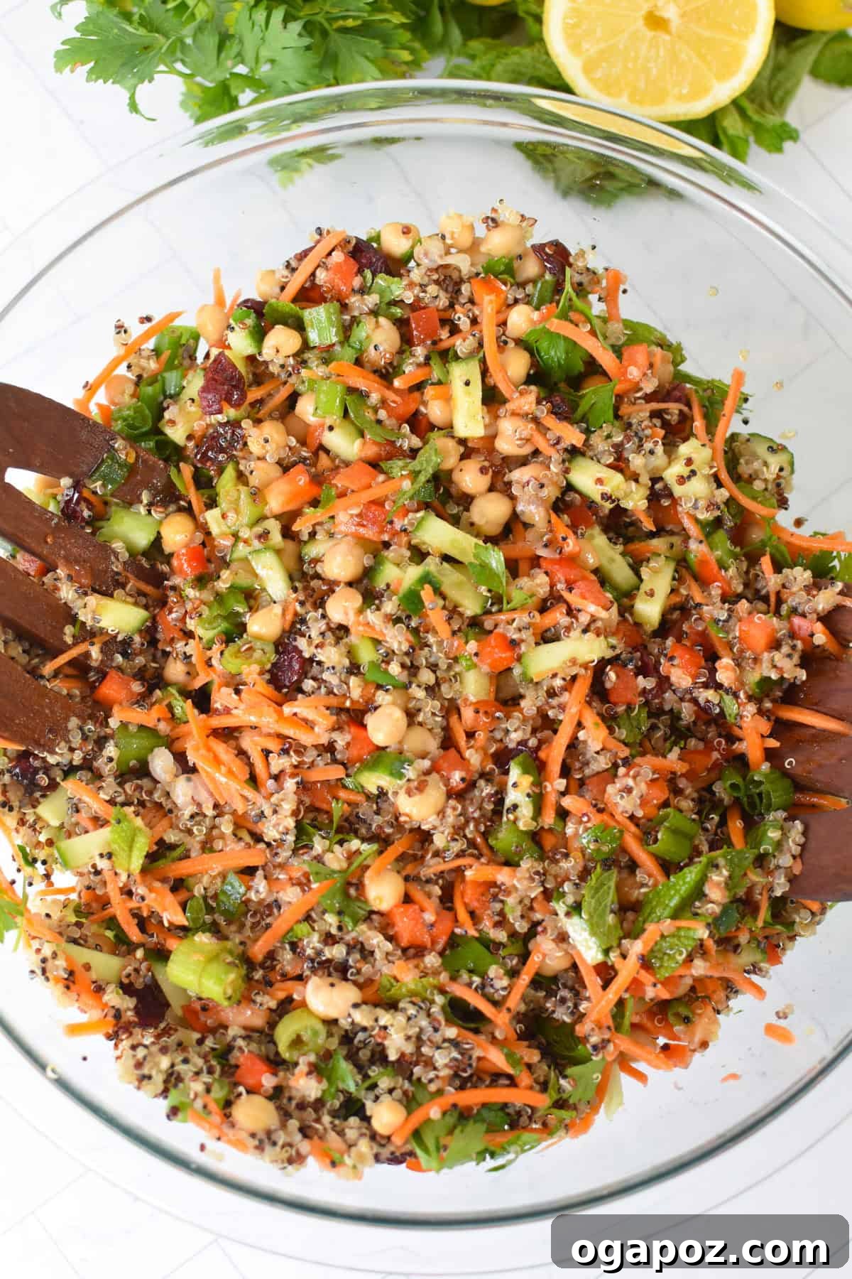 Moroccan Chickpea Salad with Tangy Lemon & Toasted Cumin 9 Easy Moroccan Chickpea Salad
