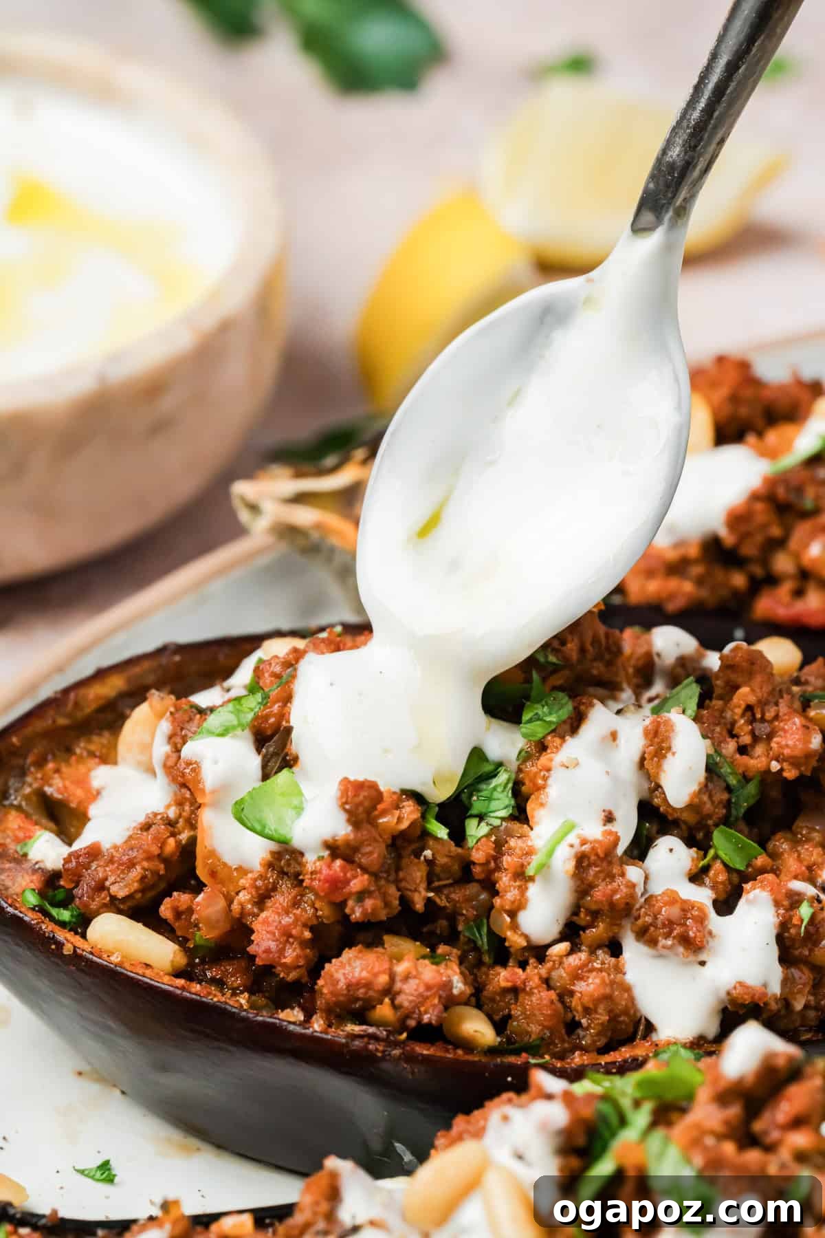 Mediterranean Stuffed Eggplant with Garlic Yogurt Sauce 12 Garlic Yogurt Sauce drizzled on Eggplant
