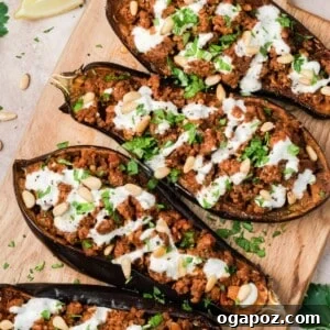 Mediterranean Stuffed Eggplant with Garlic Yogurt Sauce 14 img 94484 17
