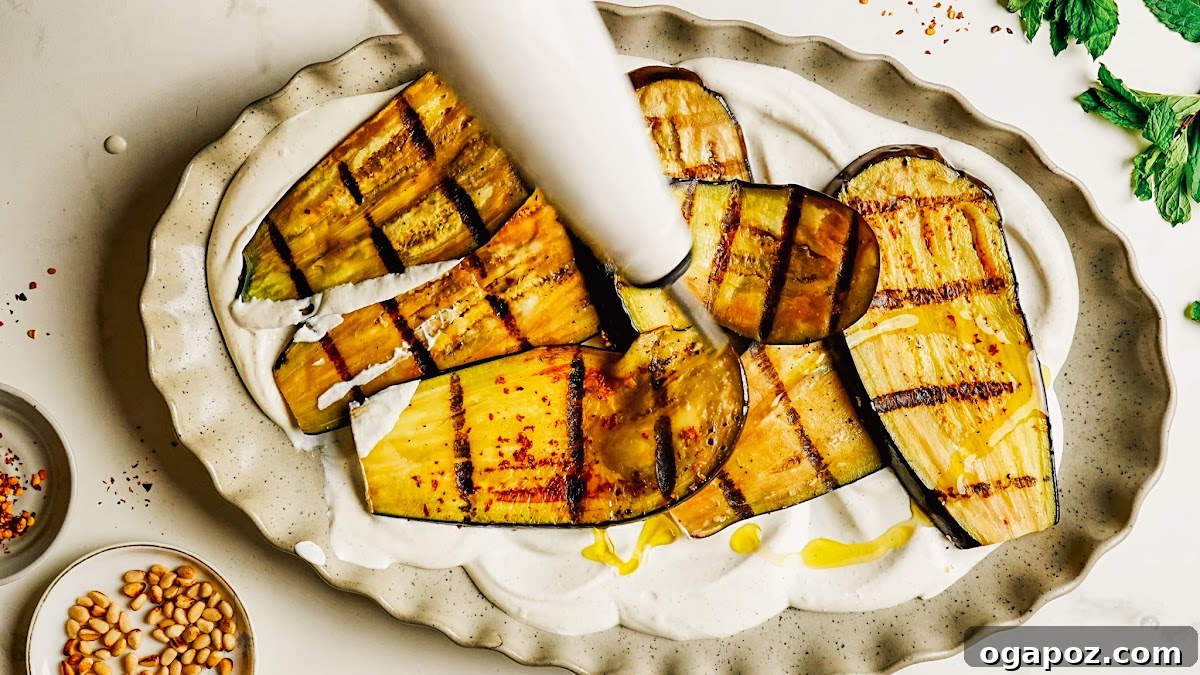 Grilled Eggplant with Garlic Oil and Whipped Feta 11 Close view of charred grilled eggplant over creamy whipped feta.
