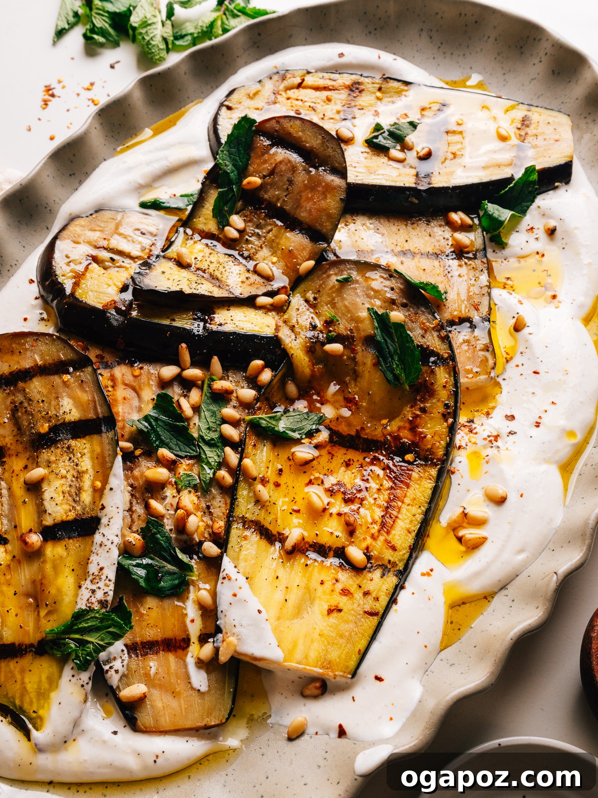 Grilled Eggplant with Garlic Oil and Whipped Feta 10 Grilled eggplant slices arranged over whipped feta with mint and pine nuts on a platter.