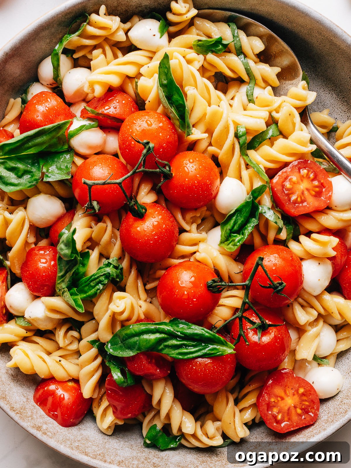 Caprese Pasta Salad with Cherry Tomatoes, Mozzarella & Basil 9 Caprese pasta salad in a bowl with cherry tomatoes, fresh mozzarella, and basil.