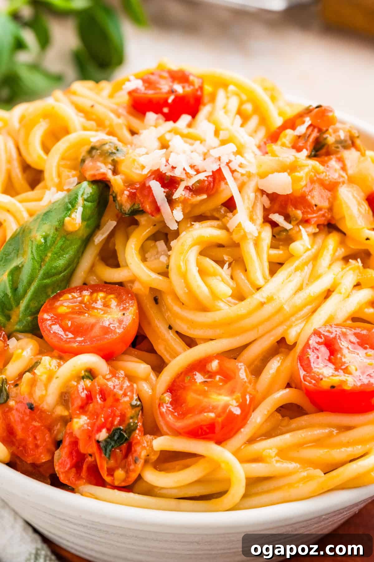 Fresh Cherry Tomato and Basil Pasta Recipe 12 Up close Tomato and Basil Pasta