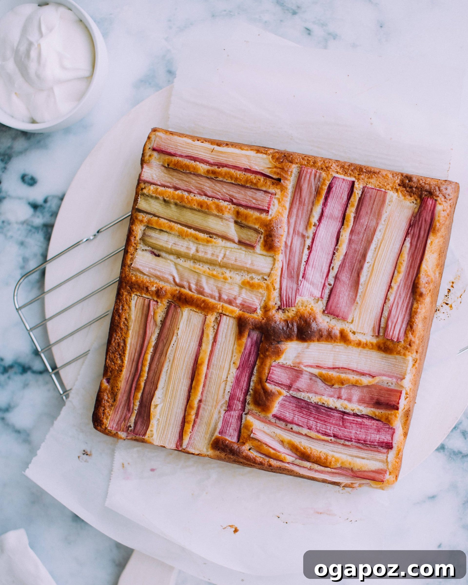 Summer Fruit Dessert Recipes: Peach, Cherry and Berries 36 Ginger rhubarb cake on a plate.