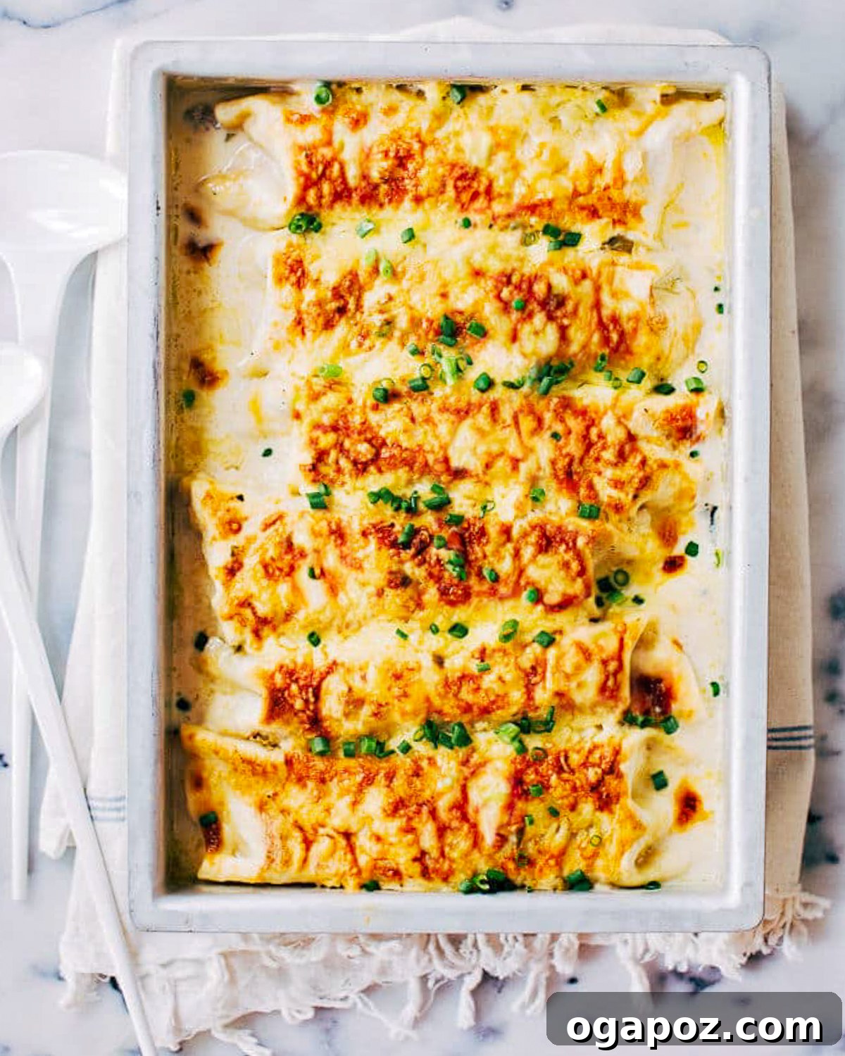 Cheesy chicken enchiladas with white sauce fresh from the oven.