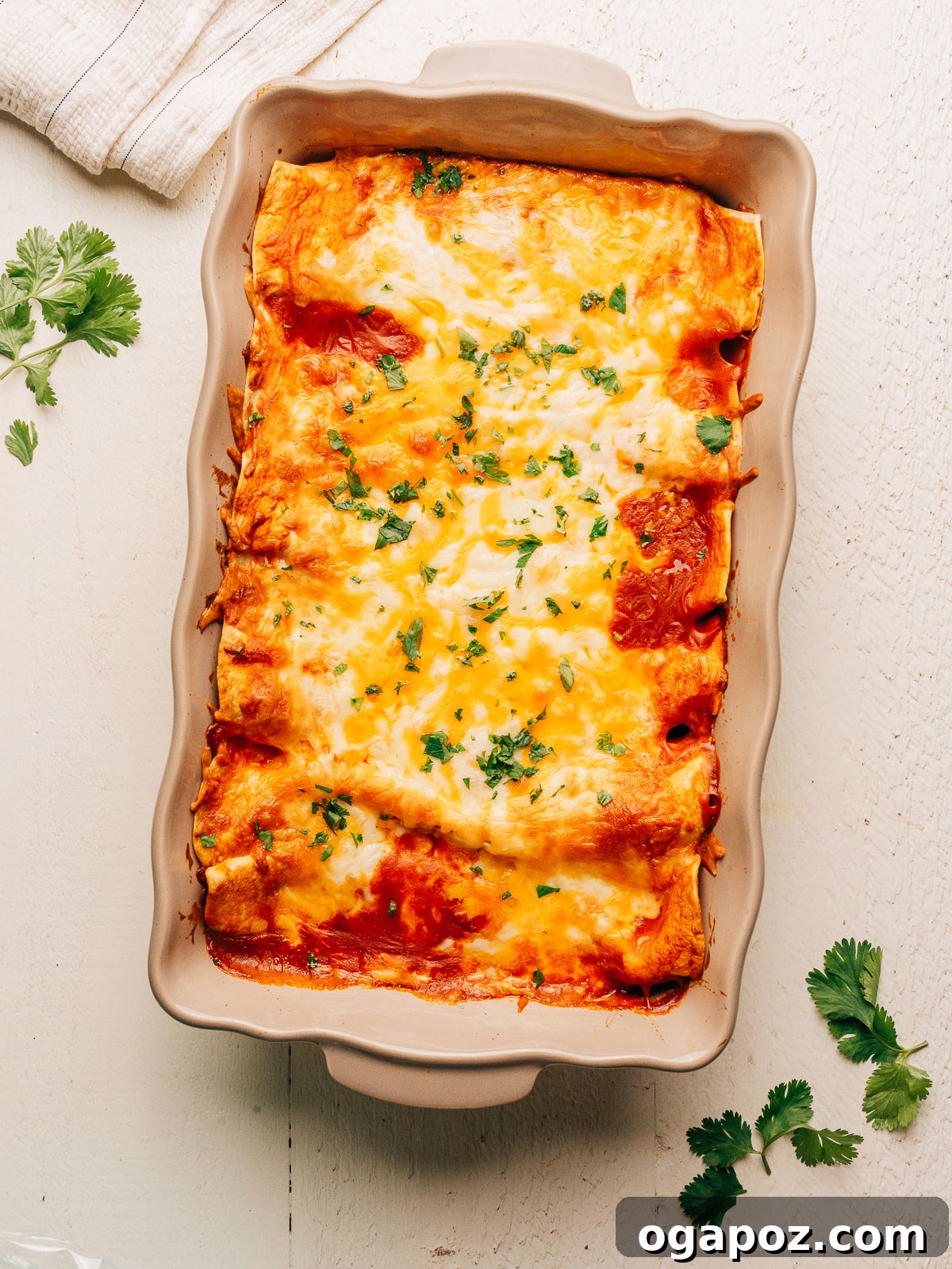 Cream cheese chicken enchiladas baked until bubbly.