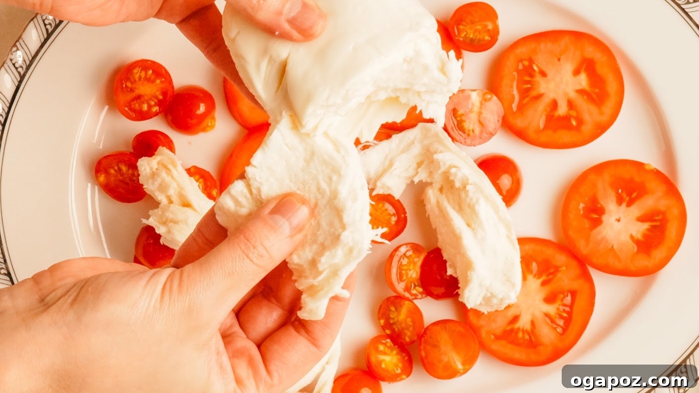 Authentic Caprese Salad with Cherry Tomatoes 5 Caprese salad recipe steps.