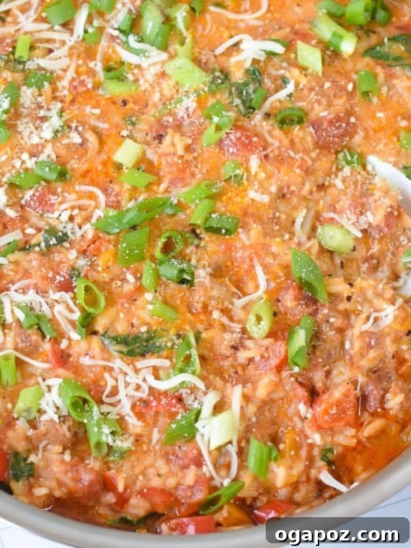 One-Pan Sausage and Vegetable Skillet 13 Creamy Cajun Sausage Rice Skillet 1200 x 1200