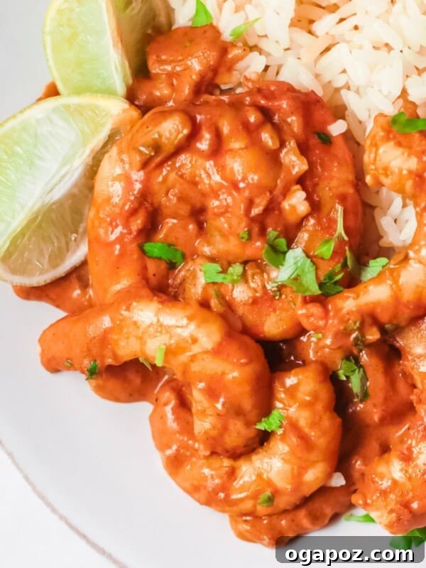 Grilled Shrimp Salad with Cilantro-Lime Vinaigrette 15 Easy Shrimp Curry Recipe