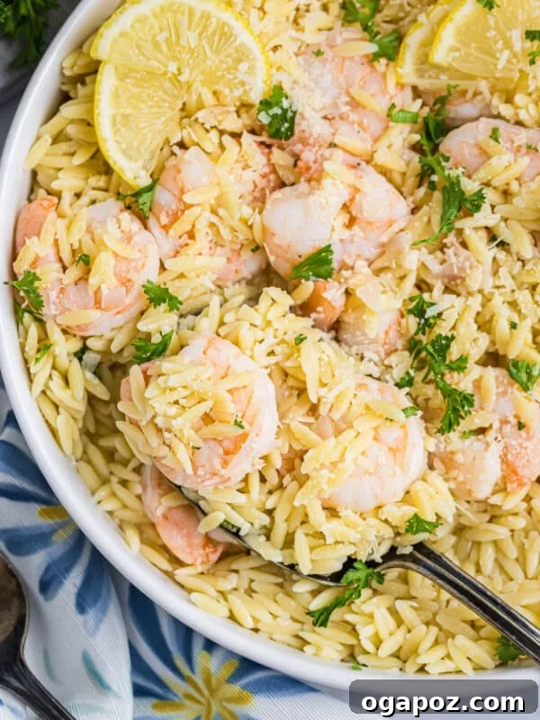 Grilled Shrimp Salad with Cilantro-Lime Vinaigrette 16 Lemon Shrimp and Orzo in a white bowl