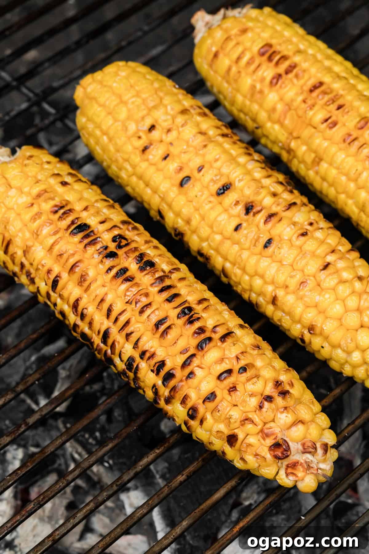 Grilled Shrimp Salad with Cilantro-Lime Vinaigrette 8 Grilled Corn on a grill