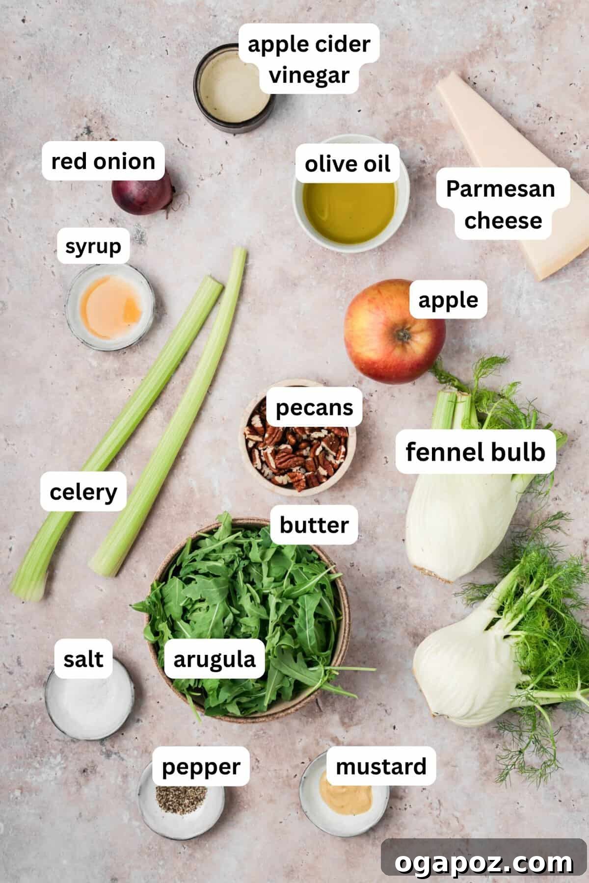 Crisp Apple and Fennel Salad with Lemon Vinaigrette 5 Apple Celery Salad recipe ingredients