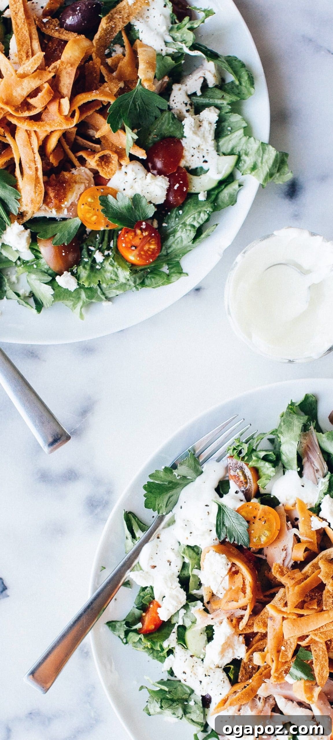 20 Fresh Tomato Recipes to Use Up Ripe Tomatoes 6 Chicken fattoush salad with tomatoes, cucumber and crisp pita.
