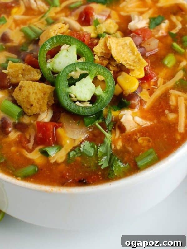 Creamy Chicken and Potato Soup Without Heavy Cream 13 Chicken Enchilada Soup 1200 x 1200