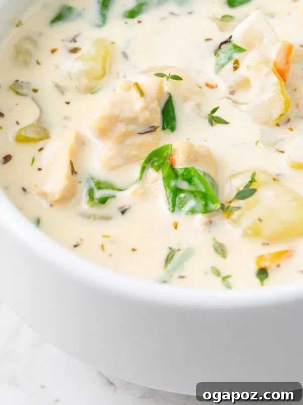 Creamy Chicken and Potato Soup Without Heavy Cream 14 Copycat Olive Garden Chicken Gnocchi Soup in a white bowl up close