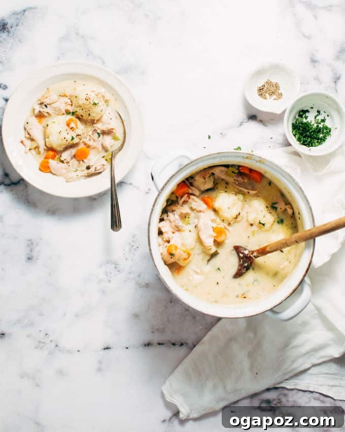 57 Simple Soup Recipes to Warm Your Soul 42 Leftover turkey stew with mashed potato dumplings.
