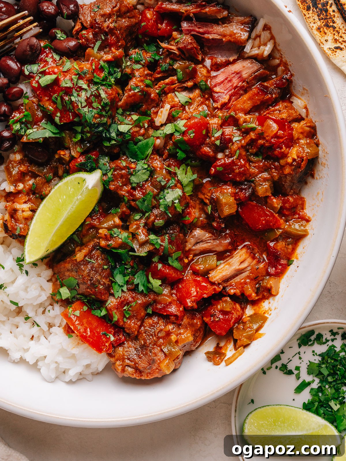 Authentic Mexican Carne Guisada: Hearty Beef Stew Recipe 13 Fork tender chunks of beef in a thick red gravy with green bell pepper and fresh cilantro.