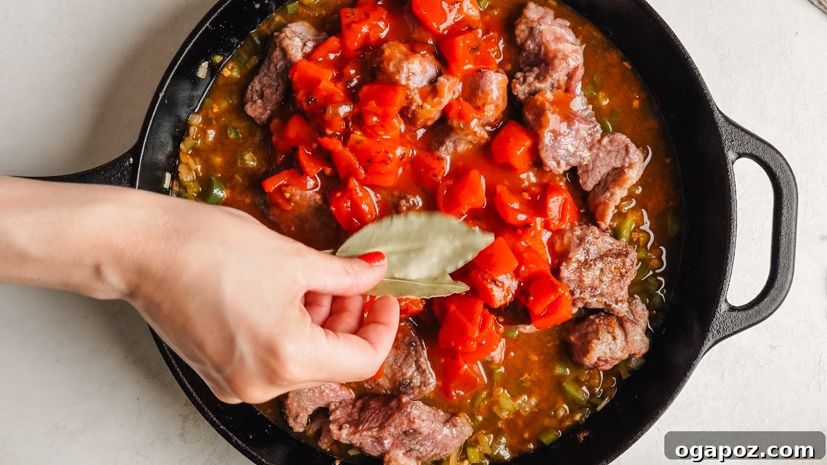 Authentic Mexican Carne Guisada: Hearty Beef Stew Recipe 10 Carne Guisada recipe steps.