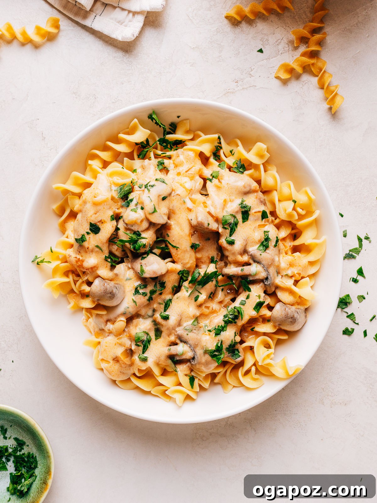 Creamy One-Pan Chicken Stroganoff 2 A bowl of chicken stroganoff spooned over egg noodles and scattered with fresh parsley.