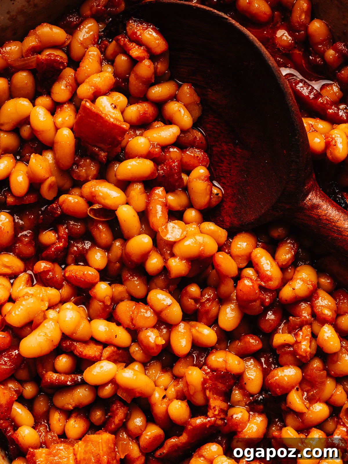 Close up of baked beans coated in a glossy molasses sauce with pieces of bacon.